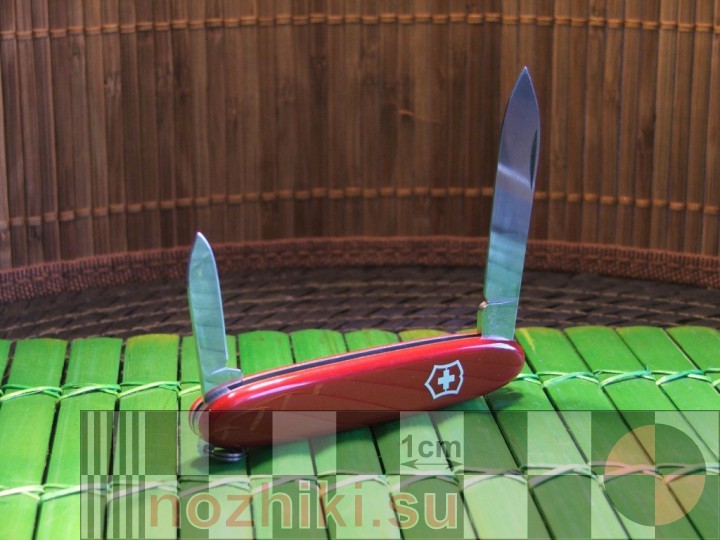 классика перочинного ножа от Victorinox сегодня