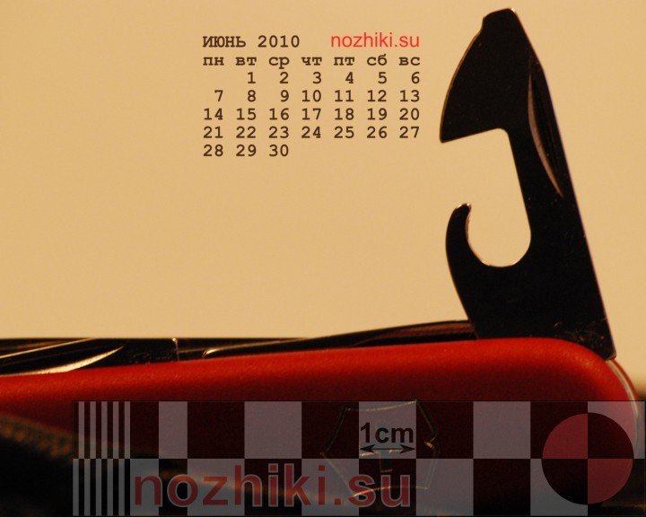 фотообои-календарь на 2010 июнь